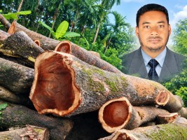 লালমোহনে টেন্ডার ছাড়াই ৪ শতাধিক সরকারি গাছ কেটে নিলেন যুবদল নেতা!